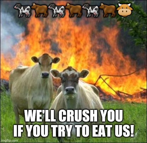Evil Cows Meme | ??????? WE'LL CRUSH YOU IF YOU TRY TO EAT US! | image tagged in memes,evil cows | made w/ Imgflip meme maker