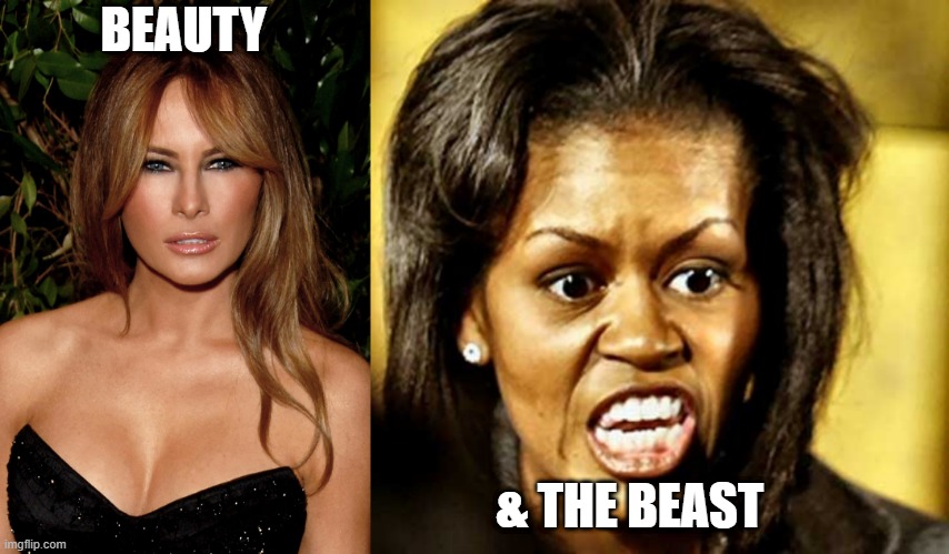 BEAUTY | BEAUTY; & THE BEAST | image tagged in mr beast | made w/ Imgflip meme maker