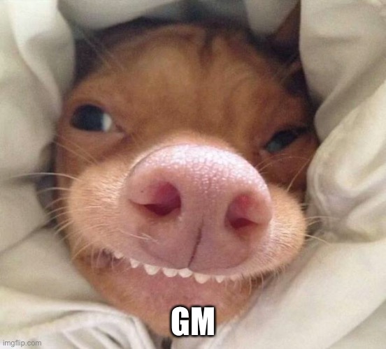 sheesh | GM | image tagged in good morning | made w/ Imgflip meme maker