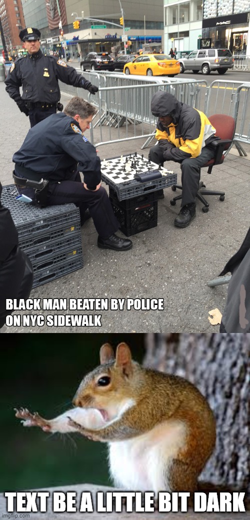 text be a little bit dark | TEXT BE A LITTLE BIT DARK | image tagged in hold up squirrel,dark,black men,police,chess | made w/ Imgflip meme maker