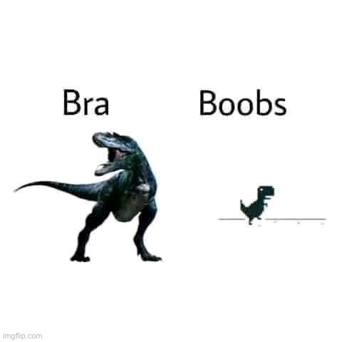 V RARE T-REX/BOOBS CROSSOVER MEME | image tagged in t-rex bra boobs,repost,t rex,boobs | made w/ Imgflip meme maker