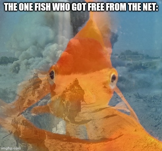 Fish PTSD | THE ONE FISH WHO GOT FREE FROM THE NET: | image tagged in fish ptsd | made w/ Imgflip meme maker