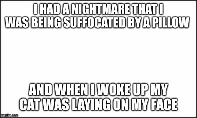 o - o | I HAD A NIGHTMARE THAT I WAS BEING SUFFOCATED BY A PILLOW; AND WHEN I WOKE UP MY CAT WAS LAYING ON MY FACE | image tagged in plain white | made w/ Imgflip meme maker