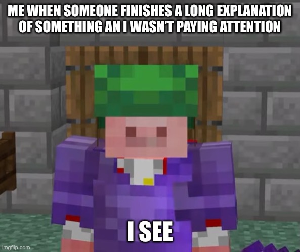 I needed to make a meme out of this | ME WHEN SOMEONE FINISHES A LONG EXPLANATION OF SOMETHING AN I WASN’T PAYING ATTENTION; I SEE | image tagged in technoblade,explain | made w/ Imgflip meme maker