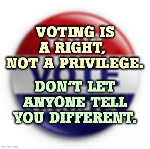 Voting is a fundamental right of citizenship. It is not to be given or withheld based on the whims of white people. | VOTING IS A RIGHT, 
NOT A PRIVILEGE. DON'T LET ANYONE TELL YOU DIFFERENT. | image tagged in vote,voting,right,not,privilege | made w/ Imgflip meme maker