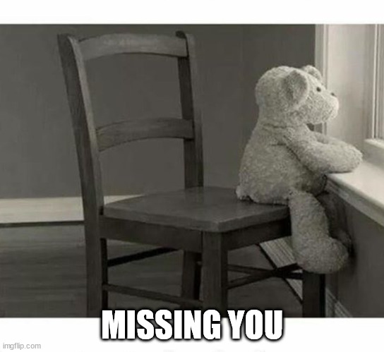 Miss you | MISSING YOU | image tagged in miss you | made w/ Imgflip meme maker