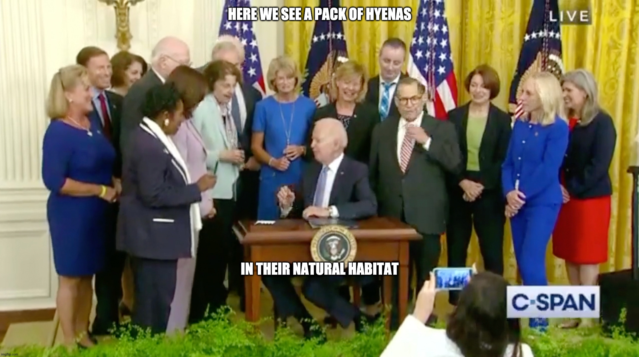 The Wild Kingdom | HERE WE SEE A PACK OF HYENAS; IN THEIR NATURAL HABITAT | image tagged in democrats,biden | made w/ Imgflip meme maker