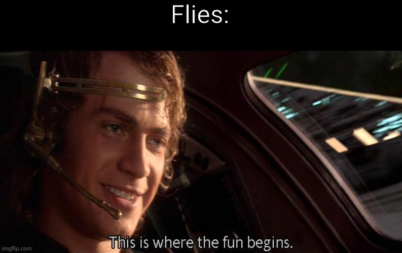 This is where the fun begins | Flies: | image tagged in this is where the fun begins | made w/ Imgflip meme maker