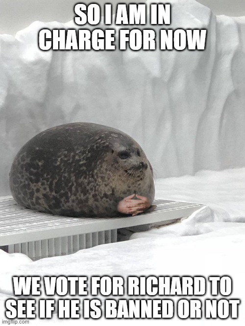 Since Envoy is gone | SO I AM IN CHARGE FOR NOW; WE VOTE FOR RICHARD TO SEE IF HE IS BANNED OR NOT | image tagged in seal hands | made w/ Imgflip meme maker