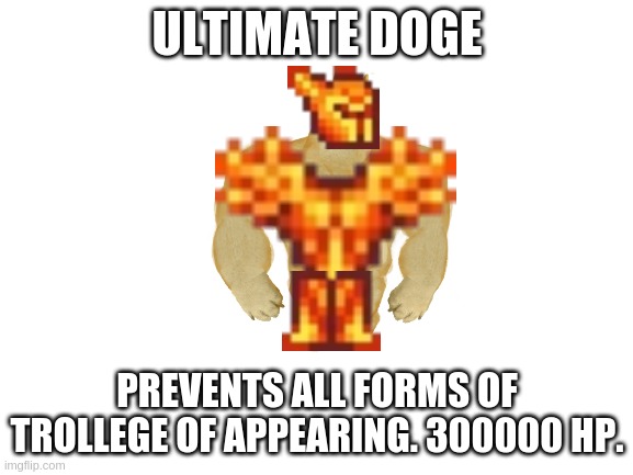 he will very protect me | ULTIMATE DOGE; PREVENTS ALL FORMS OF TROLLEGE OF APPEARING. 300000 HP. | image tagged in blank white template | made w/ Imgflip meme maker