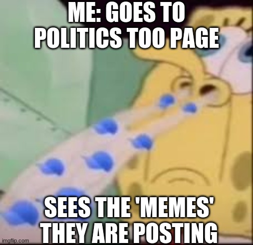 if you want a good laugh go to that page | ME: GOES TO POLITICS TOO PAGE; SEES THE 'MEMES' THEY ARE POSTING | image tagged in i smell cap | made w/ Imgflip meme maker