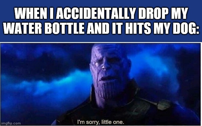 And My Poor Dog Doesn't Speak English, So He Doesn't Understand What I'm Saying | WHEN I ACCIDENTALLY DROP MY WATER BOTTLE AND IT HITS MY DOG: | image tagged in thanos i'm sorry little one | made w/ Imgflip meme maker