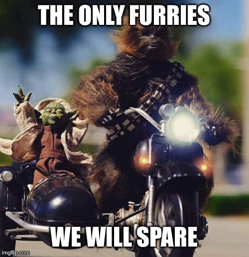 I declare war on the furries | THE ONLY FURRIES; WE WILL SPARE | image tagged in yoda chewy | made w/ Imgflip meme maker