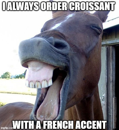 Funny Horse Face |  I ALWAYS ORDER CROISSANT; WITH A FRENCH ACCENT | image tagged in funny horse face | made w/ Imgflip meme maker