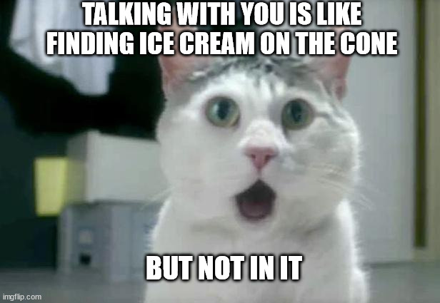 OMG Cat |  TALKING WITH YOU IS LIKE FINDING ICE CREAM ON THE CONE; BUT NOT IN IT | image tagged in memes,omg cat | made w/ Imgflip meme maker
