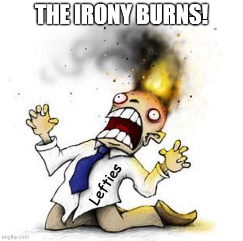 The Irony It Burns!!! | THE IRONY BURNS! Lefties | image tagged in the irony it burns | made w/ Imgflip meme maker