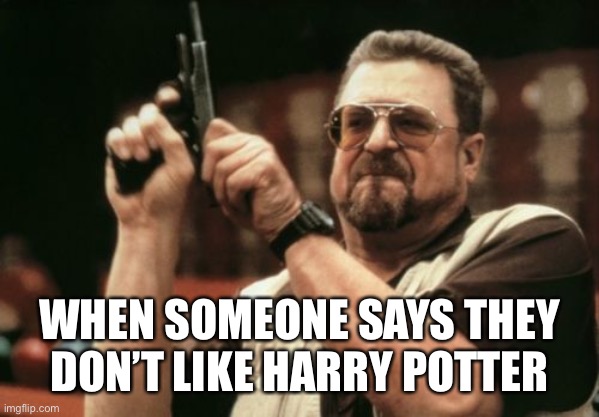 Harry Potter | WHEN SOMEONE SAYS THEY DON’T LIKE HARRY POTTER | image tagged in memes,am i the only one around here | made w/ Imgflip meme maker