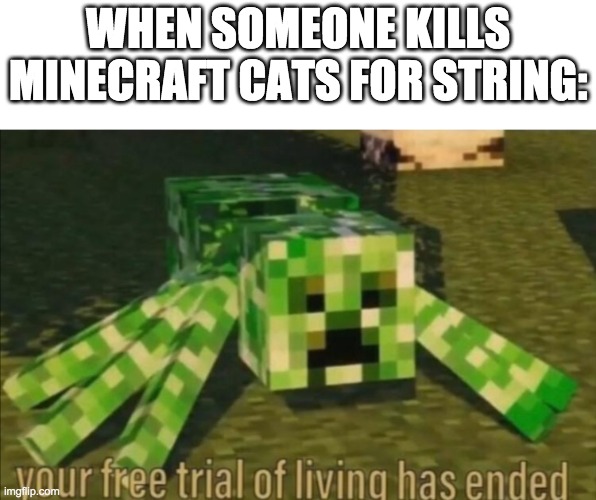 Your Free Trial of Living Has Ended | WHEN SOMEONE KILLS MINECRAFT CATS FOR STRING: | image tagged in your free trial of living has ended | made w/ Imgflip meme maker