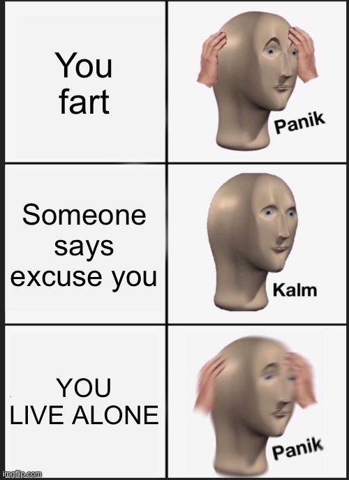 I couldn’t think of anything | You fart; Someone says excuse you; YOU LIVE ALONE | image tagged in memes,panik kalm panik,funny memes,funny | made w/ Imgflip meme maker