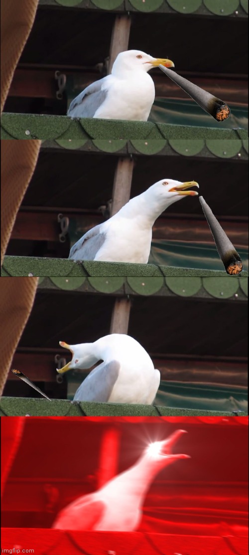 No cig | image tagged in memes,inhaling seagull | made w/ Imgflip meme maker