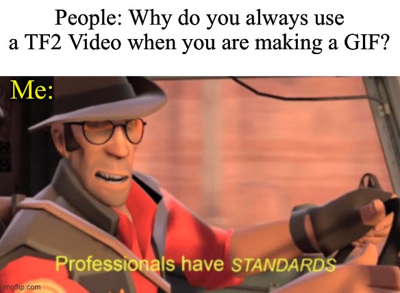 Applies to Me and Soldier lmao | People: Why do you always use a TF2 Video when you are making a GIF? Me: | image tagged in professionals have standards | made w/ Imgflip meme maker
