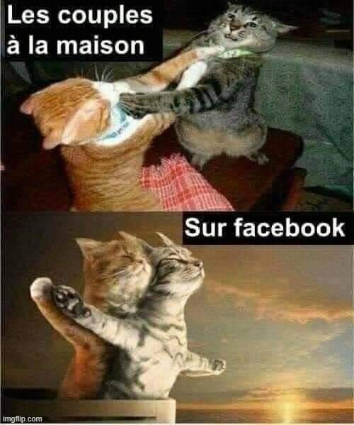 Genuine French meme - from France | image tagged in marked safe from facebook meme template | made w/ Imgflip meme maker