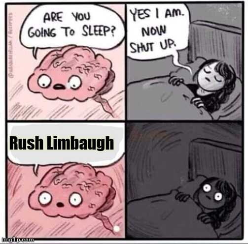 Are you going to sleep? | Rush Limbaugh | image tagged in are you going to sleep | made w/ Imgflip meme maker