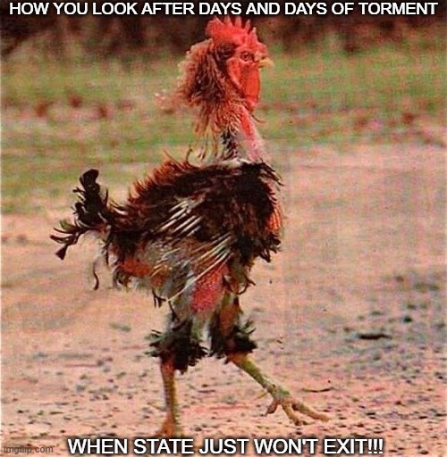 Nursing | HOW YOU LOOK AFTER DAYS AND DAYS OF TORMENT; WHEN STATE JUST WON'T EXIT!!! | image tagged in rooster | made w/ Imgflip meme maker