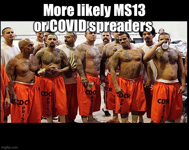 Illegal Aliens for Real | More likely MS13 or COVID spreaders | image tagged in illegal aliens for real | made w/ Imgflip meme maker