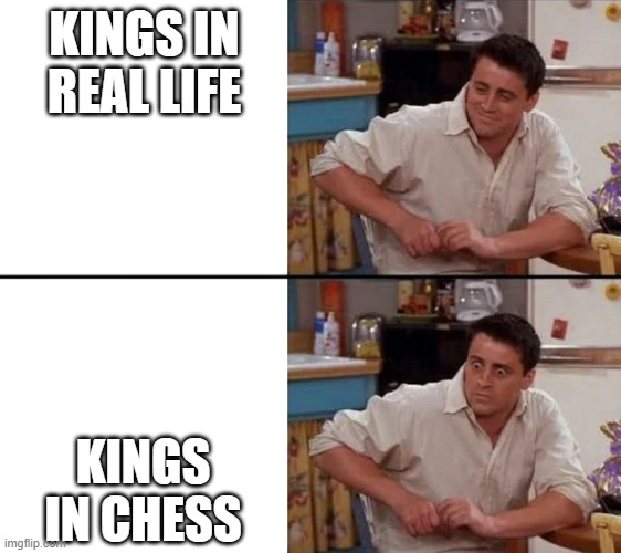 Surprised Joey | KINGS IN REAL LIFE; KINGS IN CHESS | image tagged in surprised joey | made w/ Imgflip meme maker