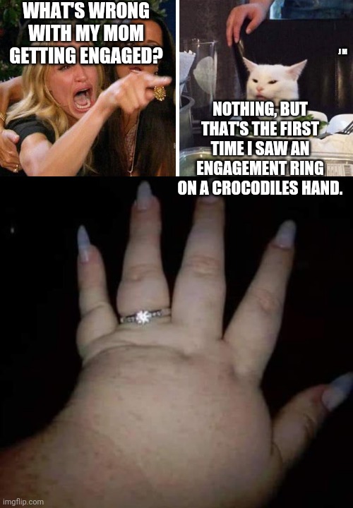 WHAT'S WRONG WITH MY MOM GETTING ENGAGED? NOTHING, BUT THAT'S THE FIRST TIME I SAW AN ENGAGEMENT RING ON A CROCODILES HAND. J M | image tagged in smudge the cat | made w/ Imgflip meme maker