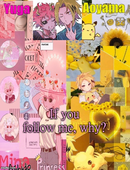 Mina and Denki Temp (tysm Yachi) | If you follow me, why? | image tagged in mina and denki temp tysm yachi | made w/ Imgflip meme maker