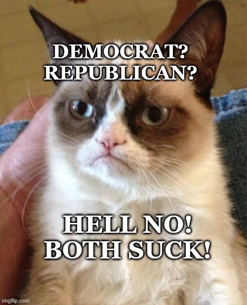 No To Politics | DEMOCRAT? REPUBLICAN? HELL NO! BOTH SUCK! | image tagged in memes,grumpy cat,clown car republicans,crying democrats | made w/ Imgflip meme maker