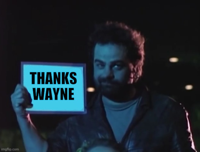 It's a blank | THANKS WAYNE | image tagged in it's a blank | made w/ Imgflip meme maker