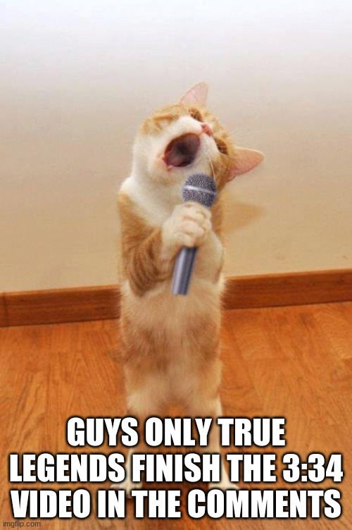 singingcat | GUYS ONLY TRUE LEGENDS FINISH THE 3:34 VIDEO IN THE COMMENTS | image tagged in singingcat | made w/ Imgflip meme maker