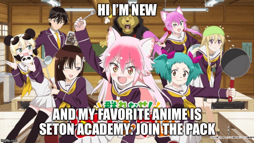 hi I’m the 1800th member | image tagged in anime,seton academy | made w/ Imgflip meme maker