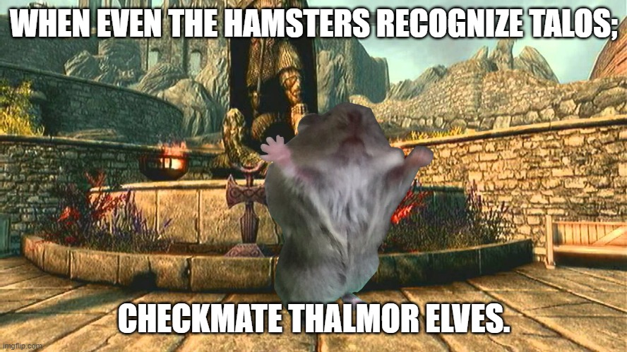 talos hamster |  WHEN EVEN THE HAMSTERS RECOGNIZE TALOS;; CHECKMATE THALMOR ELVES. | image tagged in hamster,skyrim | made w/ Imgflip meme maker