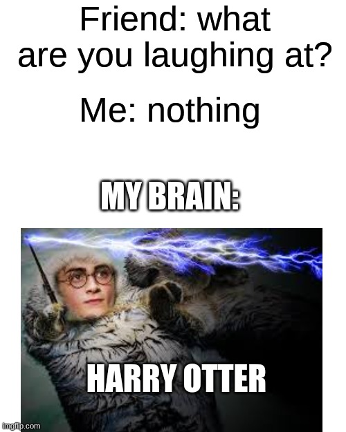 Friend: what are you laughing at? Me: nothing; MY BRAIN:; HARRY OTTER | image tagged in memes,harry potter meme,lol | made w/ Imgflip meme maker