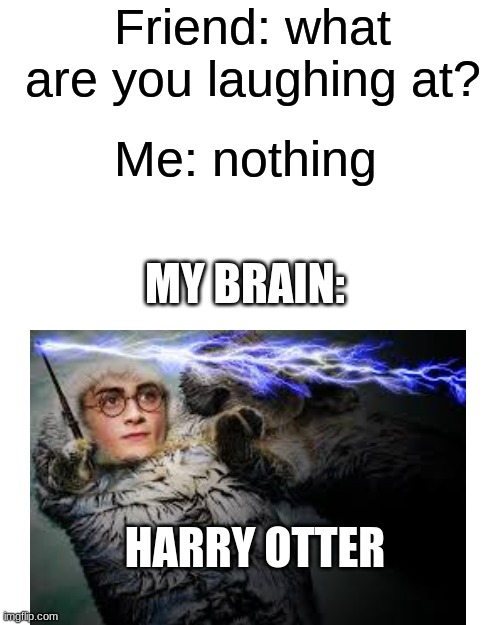 A harry potter meme by me!