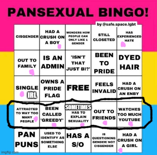 im still pan even tho i dont have much of these things | IRL; SOMETIMES | image tagged in pansexual bingo | made w/ Imgflip meme maker