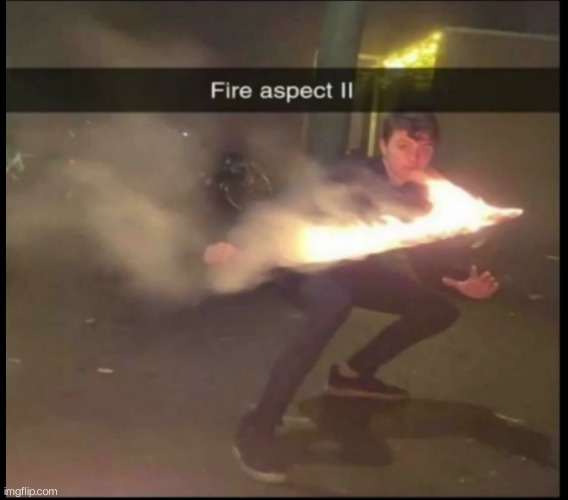 Fire aspect  >:3 | image tagged in lol | made w/ Imgflip meme maker