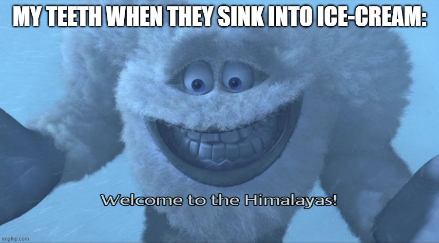 Welcome! | MY TEETH WHEN THEY SINK INTO ICE-CREAM: | image tagged in welcome to the himalayas | made w/ Imgflip meme maker