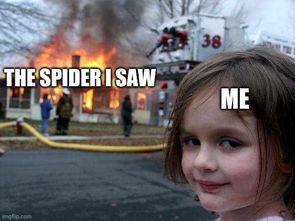 Death to spiders | ME; THE SPIDER I SAW | image tagged in memes,disaster girl | made w/ Imgflip meme maker