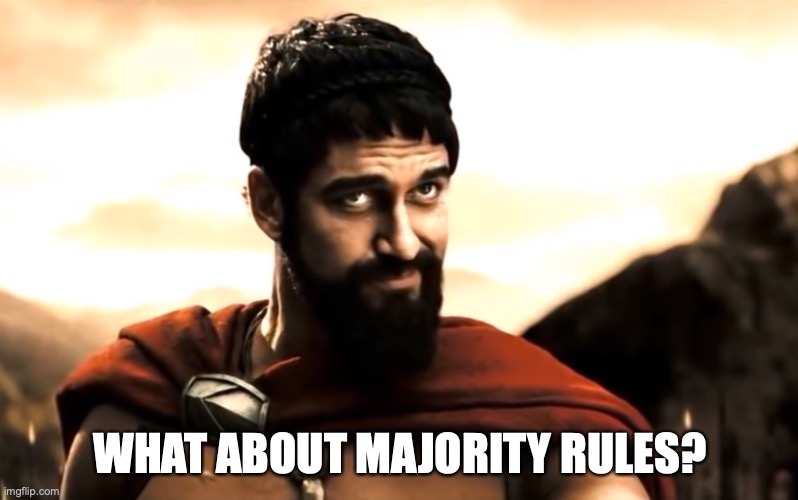 Leonidas 300 | WHAT ABOUT MAJORITY RULES? | image tagged in leonidas 300 | made w/ Imgflip meme maker