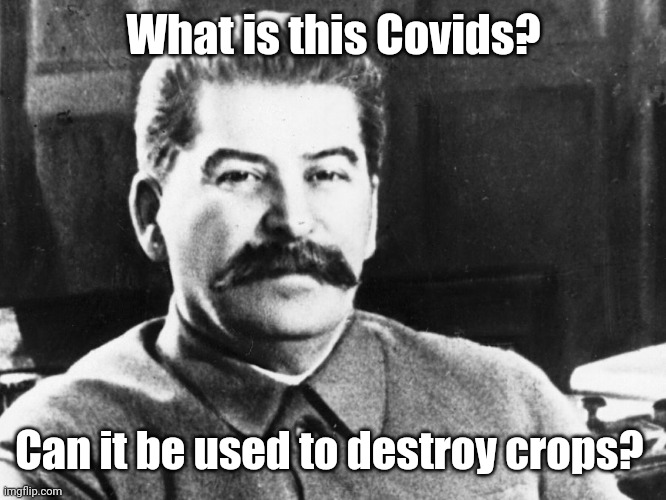 Joseph Stalin | What is this Covids? Can it be used to destroy crops? | image tagged in joseph stalin | made w/ Imgflip meme maker