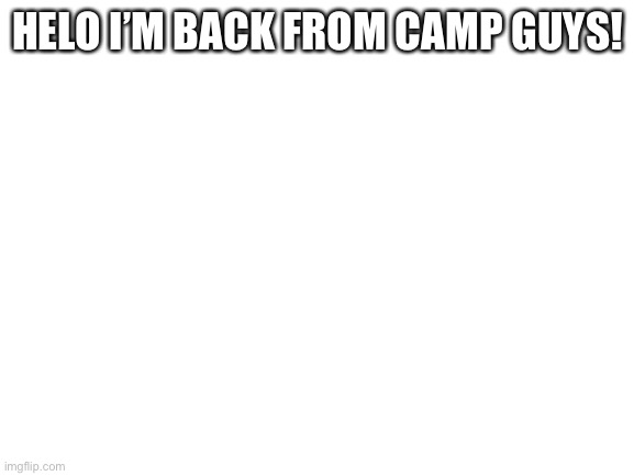 Helo | HELO I’M BACK FROM CAMP GUYS! | image tagged in blank white template | made w/ Imgflip meme maker