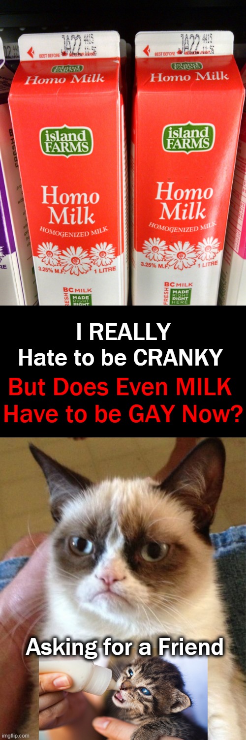Grumpy Cat Wants to Know... |  I REALLY Hate to be CRANKY; But Does Even MILK 
Have to be GAY Now? Asking for a Friend | image tagged in memes,grumpy cat,pc,milk | made w/ Imgflip meme maker