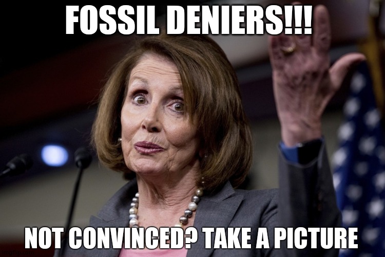 Nancy Pelosi | FOSSIL DENIERS!!! NOT CONVINCED? TAKE A PICTURE | image tagged in nancy pelosi | made w/ Imgflip meme maker
