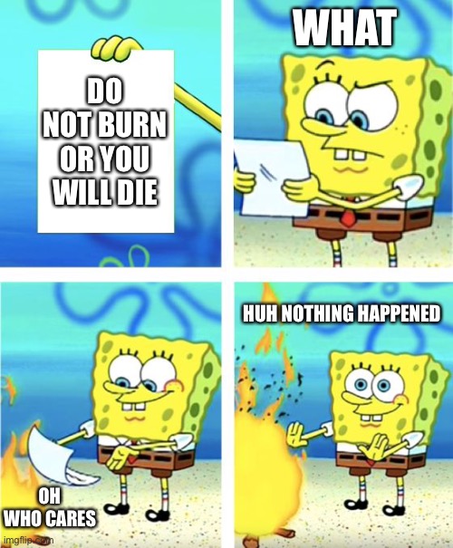 Who carEs | WHAT; DO NOT BURN OR YOU WILL DIE; HUH NOTHING HAPPENED; OH WHO CARES | image tagged in spongebob burning paper | made w/ Imgflip meme maker