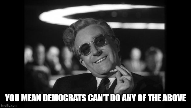 dr strangelove | YOU MEAN DEMOCRATS CAN'T DO ANY OF THE ABOVE | image tagged in dr strangelove | made w/ Imgflip meme maker